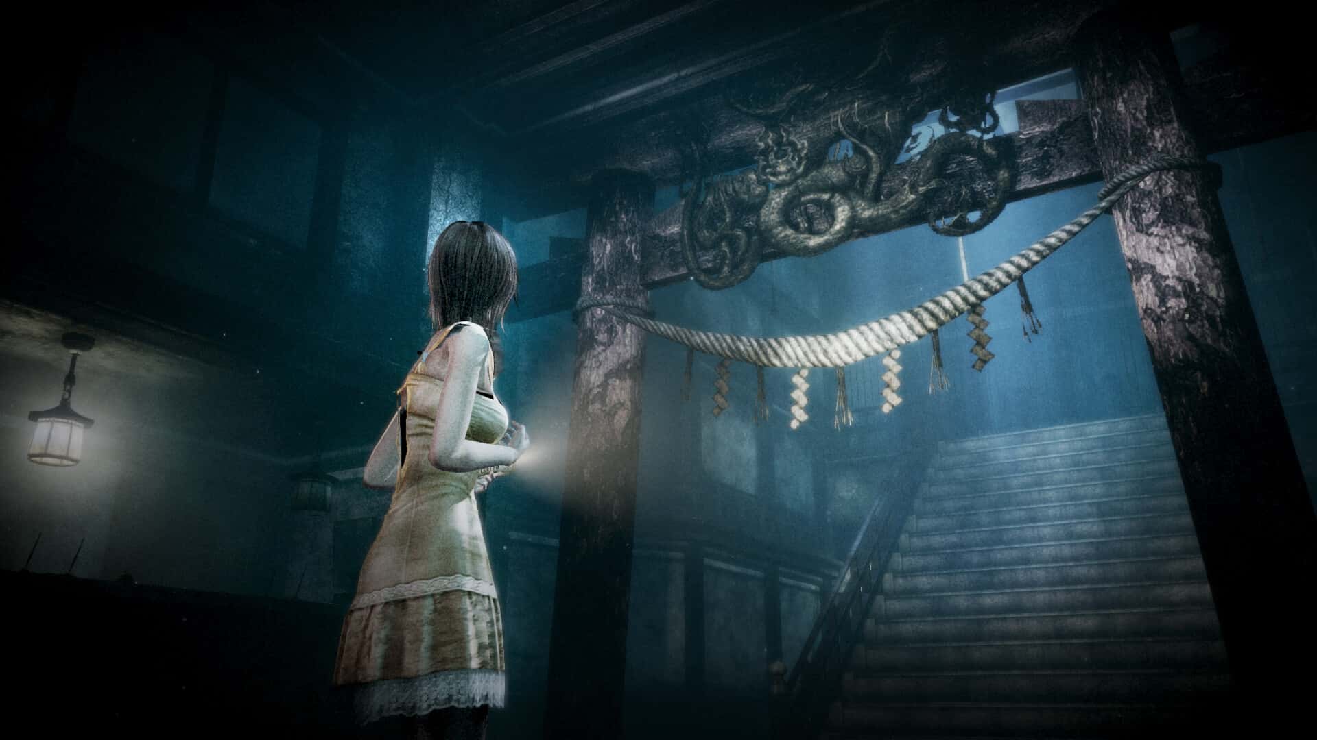 视觉数据6